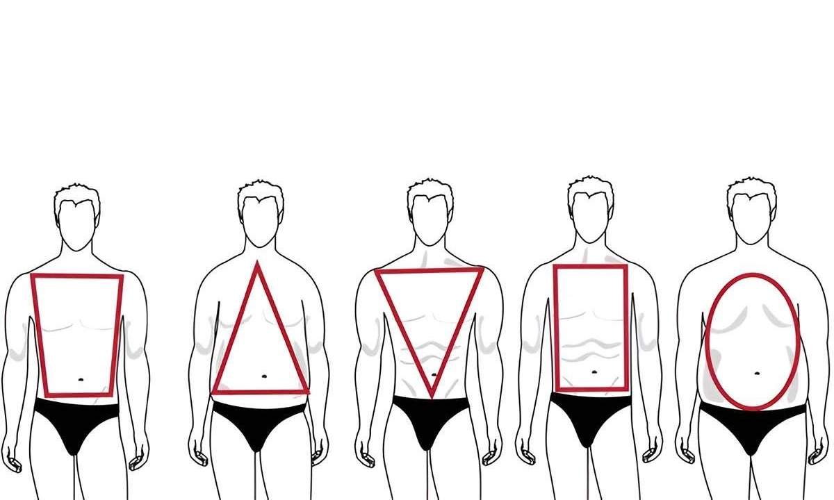 male body shapes guide